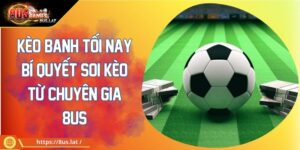Kèo Banh Tối Nay Bí Quyết Soi Kèo Từ Chuyên Gia 8US