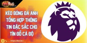 Kèo Bóng Đá Anh Tổng Hợp Thông Tin Đặc Sắc Cho Tín Đồ Cá Độ